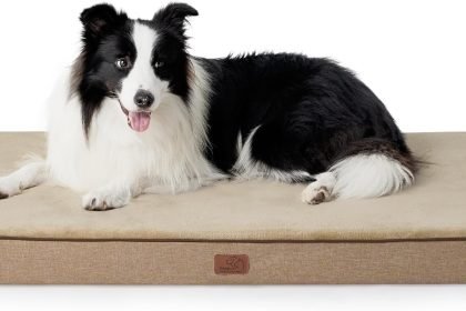 Bedsure Memory Foam Large Plus Dog Bed