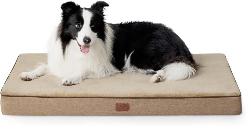 Bedsure Memory Foam Large Plus Dog Bed