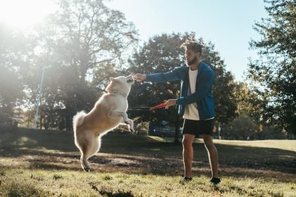 Young black man playing and training his dog in the park, engaging in fun dog activities for quality bonding time.