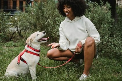 Smiling woman training dog in green park - Puppy Training Tips