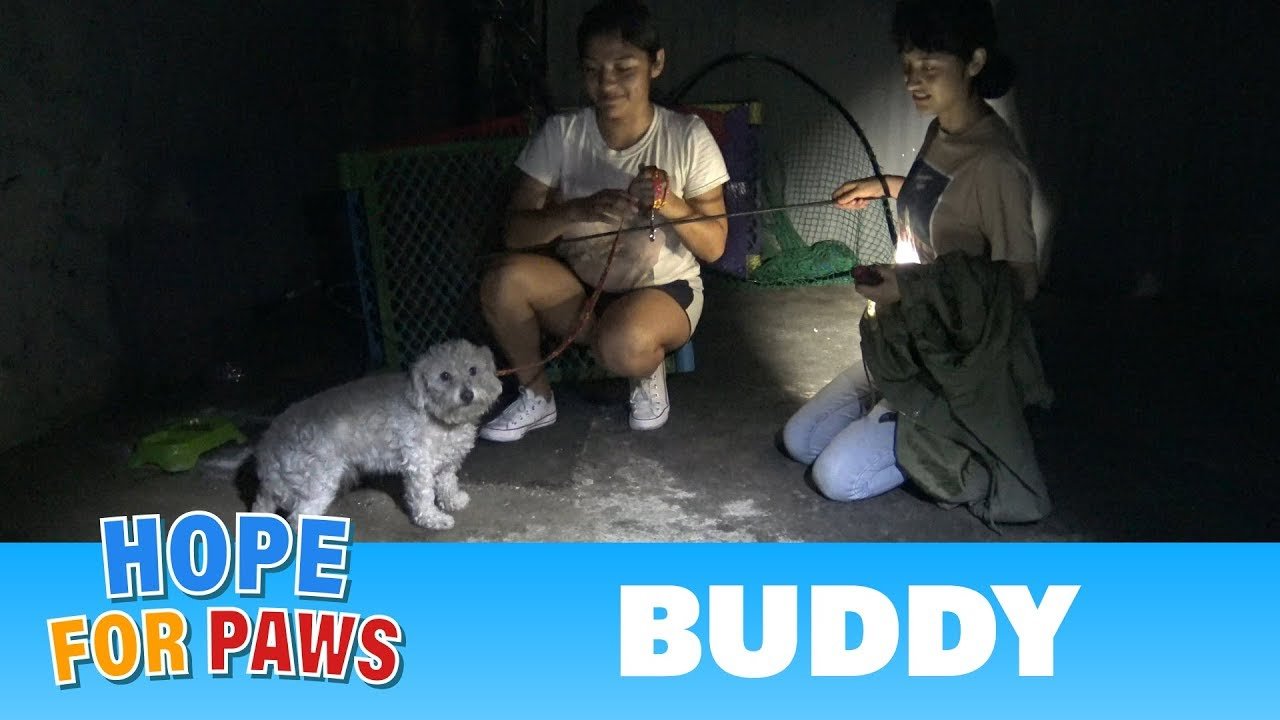 Hope For Paws fans joined me on a late night rescue to save a scared homeless maltipoo