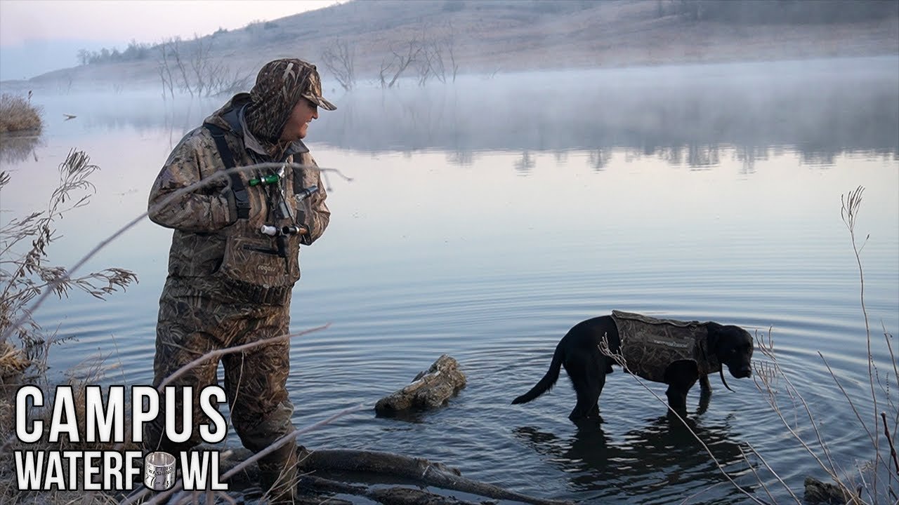 Duck Hunting with a College Dog