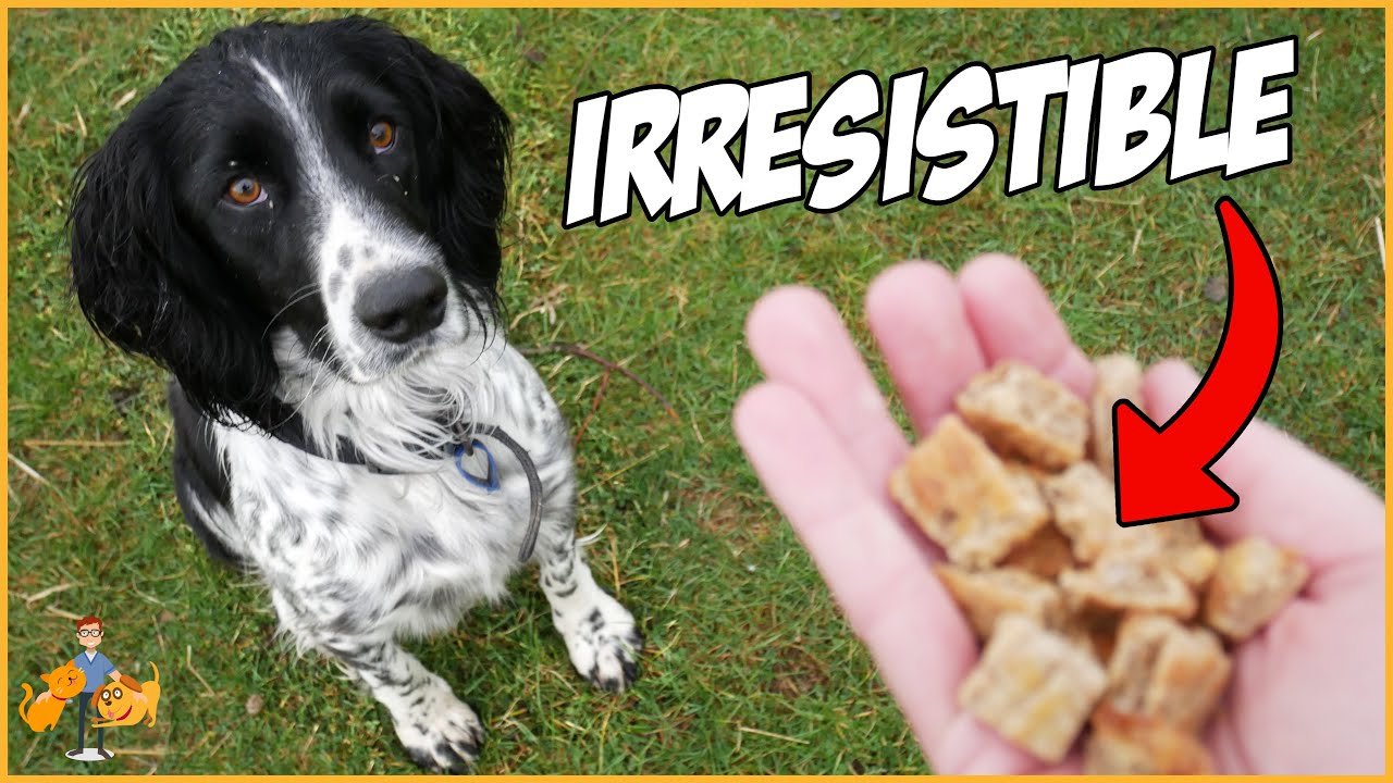 Super Tasty Homemade Dog Treats (anyone can make!)