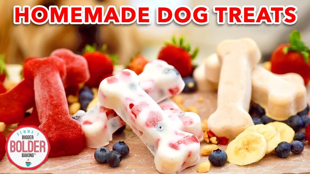 3 Healthy and Homemade Dog Treat Recipes