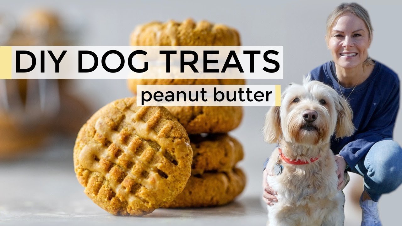 Easy DIY dog treats recipe
