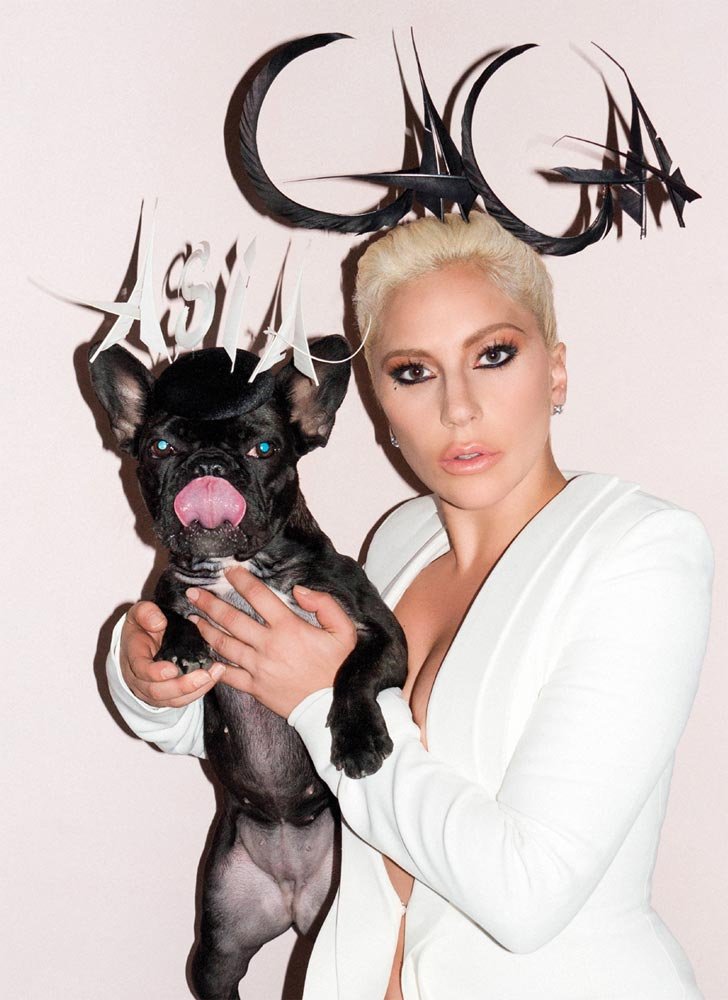 Asia, Lady Gaga’s Dog