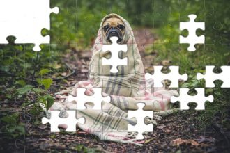 Charming Pug snuggled in a pastel-striped blanket in nature, featured in our dog jigsaw puzzle.