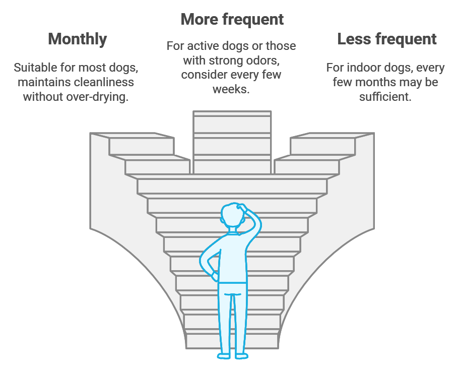 Illustration infographic on dog bathing frequency in winter, with sections for 'Monthly,' 'More frequent,' and 'Less frequent' options. A cartoon figure stands before a staircase leading to each section, representing decision-making on dog care.