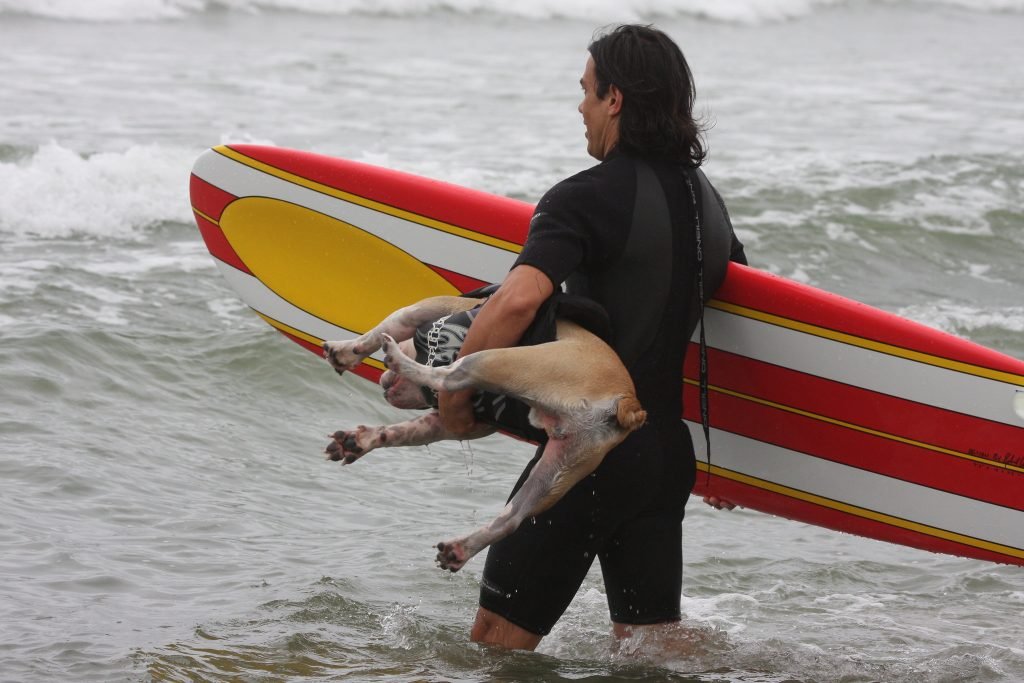 A man with long dark hair and a black wetsuit walks into the ocean, carrying a red and yellow surfboard under one arm and a small light brown and white dog under the other. The ocean waves and overcast sky set an adventurous mood as he looks ahead with focus.