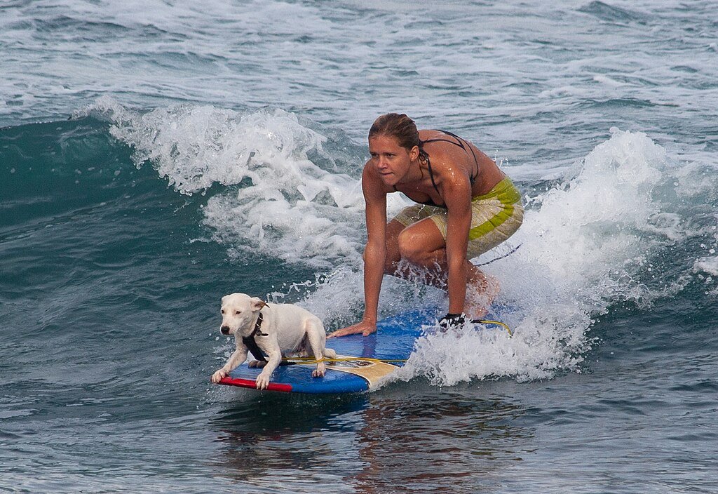 A woman with brown hair in a black bikini top and yellow shorts surfs on a blue surfboard with a small white dog at the front. They ride a wave in the ocean, surrounded by white foam, capturing a moment of adventure and companionship.