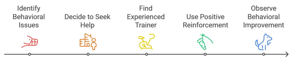 Illustration of the rescue dog training process by experienced trainers.