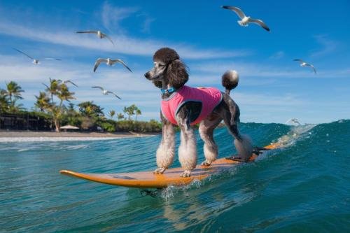 Dog Surfing Ai Picture 22